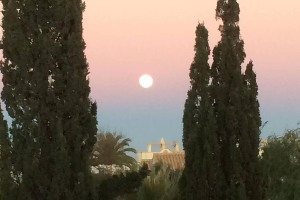 Privates Ferienhaus Villa De Paz - Costa Blanca Orihuela Eksteriør billede